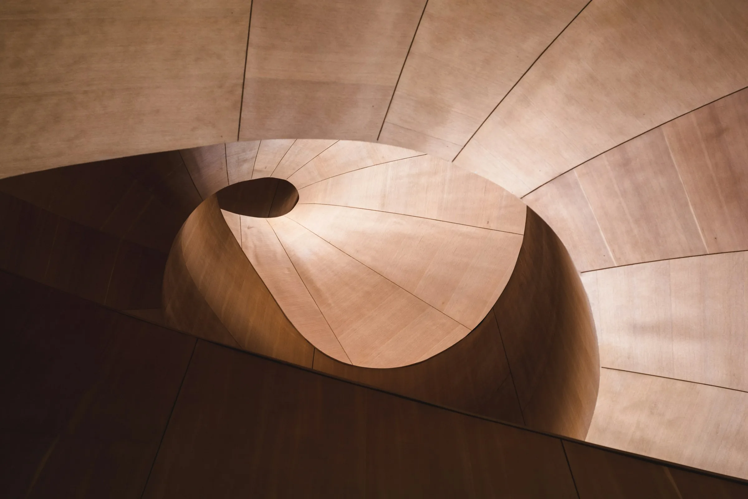 Curved timber soffit opening to an oculus overhead